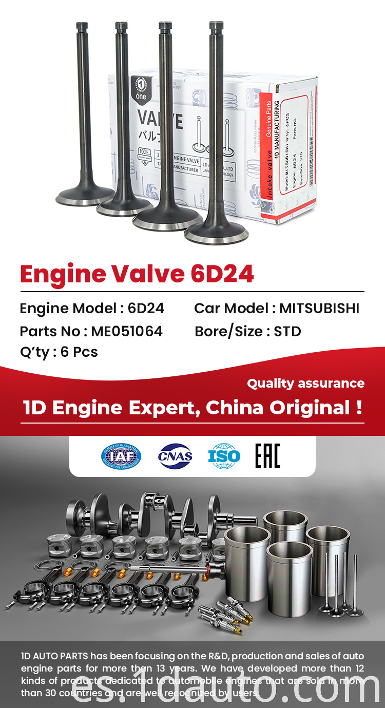 MITSUBISHI 6D24 Engine Valves 